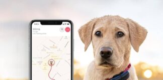 Dog GPS