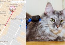 GPS-tracker till hundar och katter